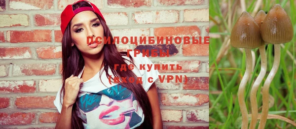 амфетамин Ельня