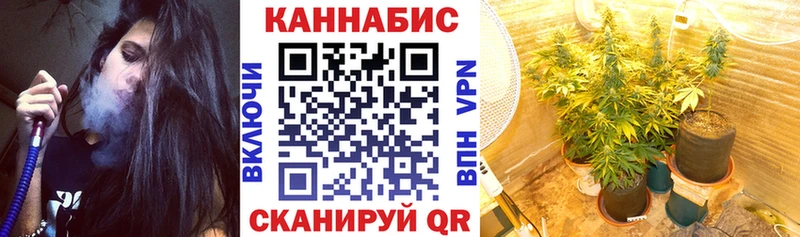Купить где  Кировград  Канабис OG Kush 